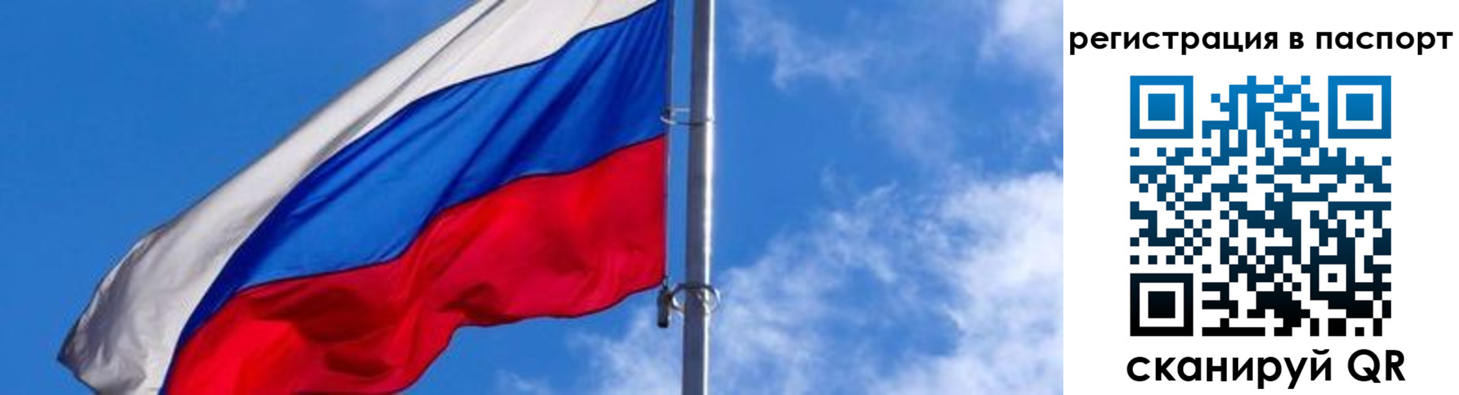 прописка гарантия в Бокситогорске